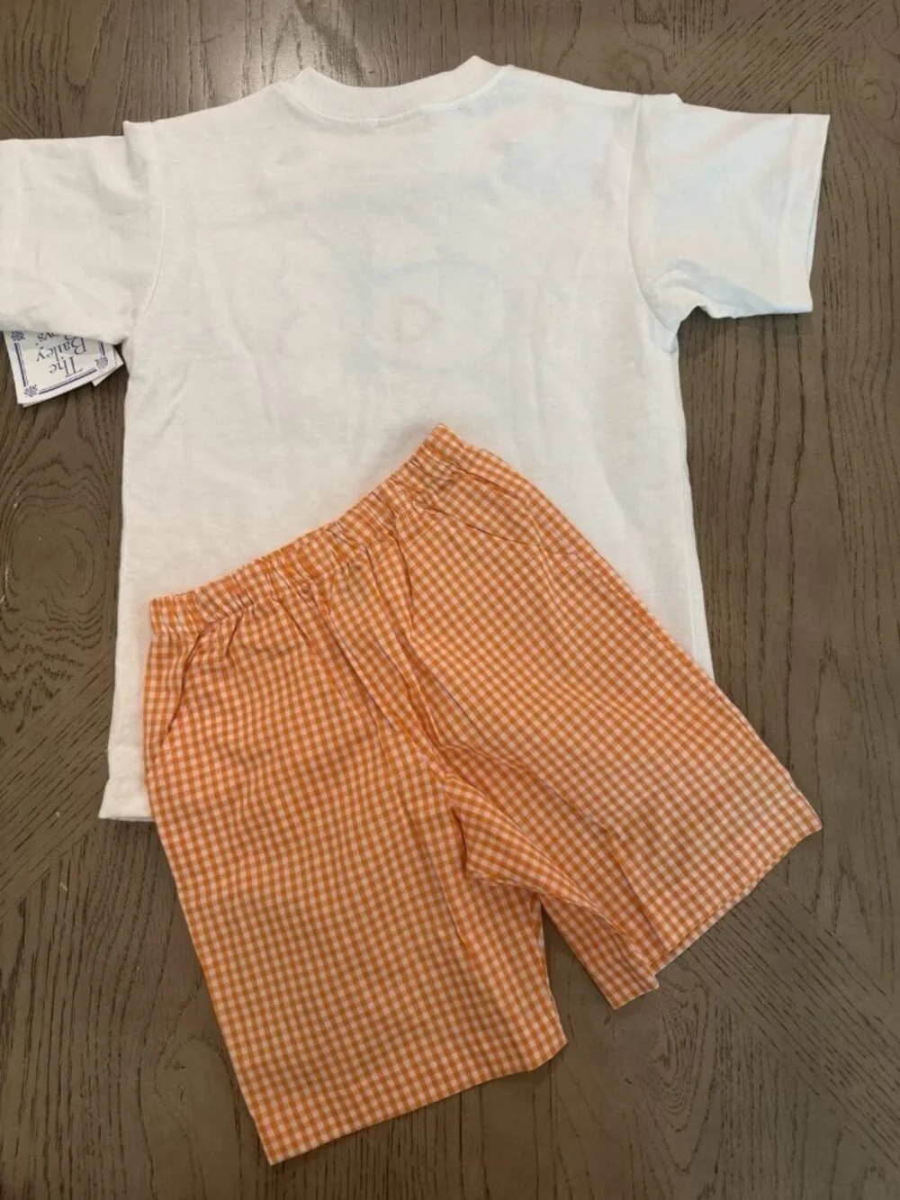 The Bailey Boys Size 5 Fish Applique T-Shirt & Orange Gingham Shorts Set